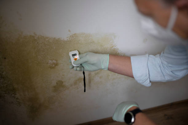 Water Damage Restoration in Belleville, IL