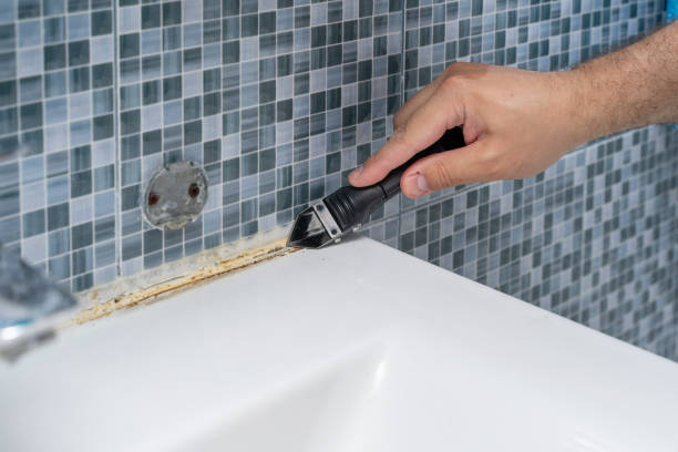 Best Mold Remediation  in Bellevle, IL