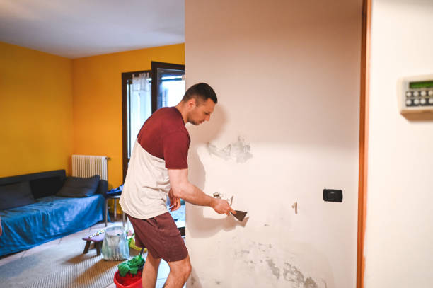 Belleville, IL Mold Removal Company